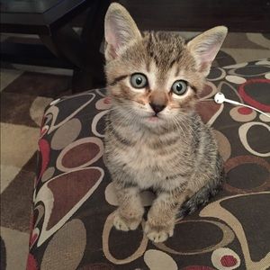 Meet your Posher, Kelly